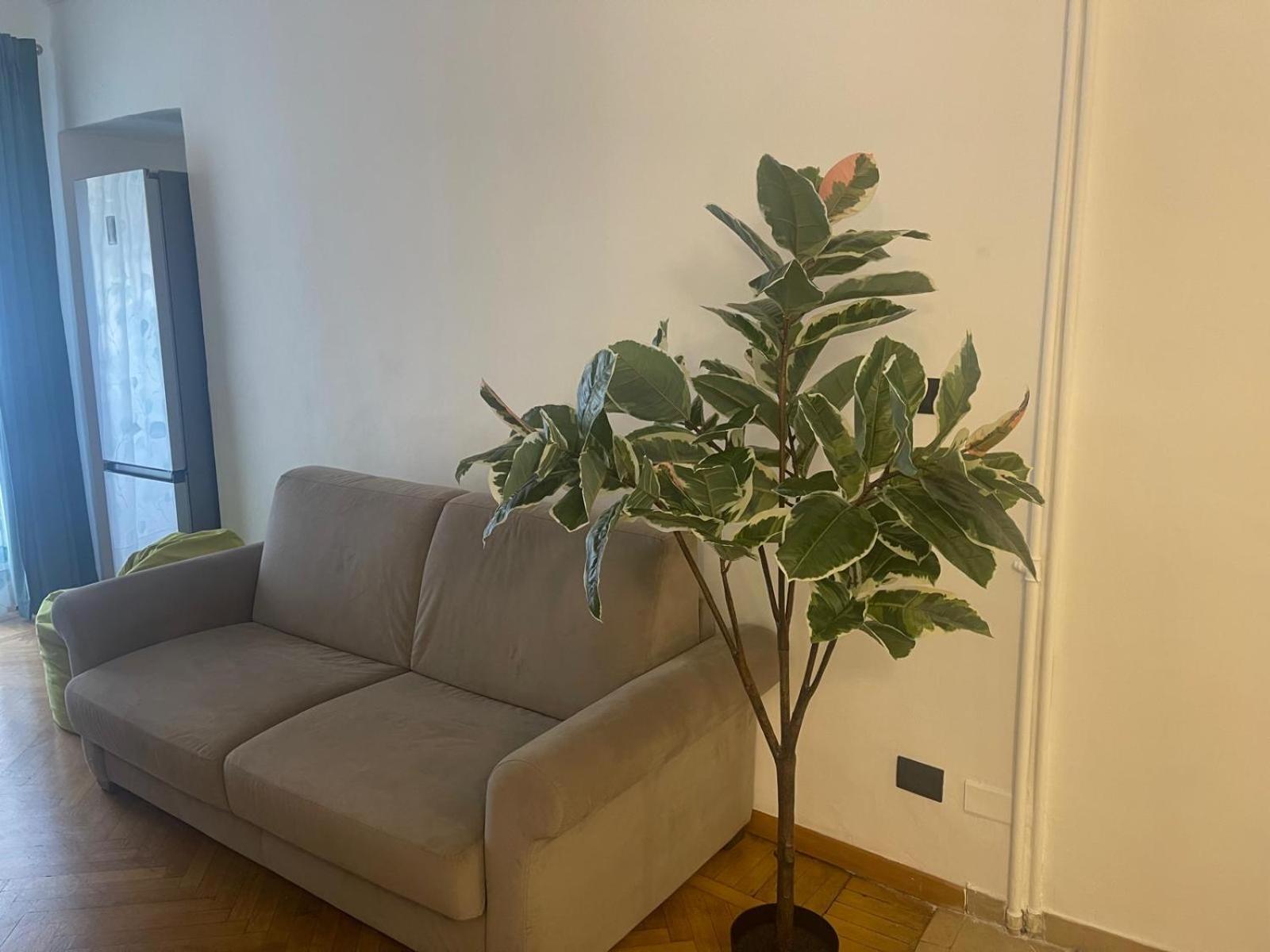 Torino Natura In Centro المظهر الخارجي الصورة