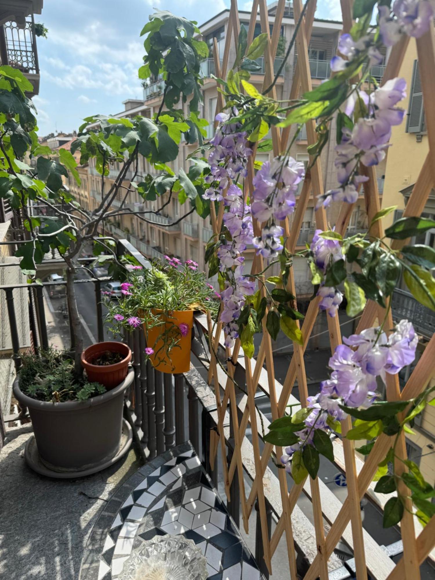 Torino Natura In Centro المظهر الخارجي الصورة