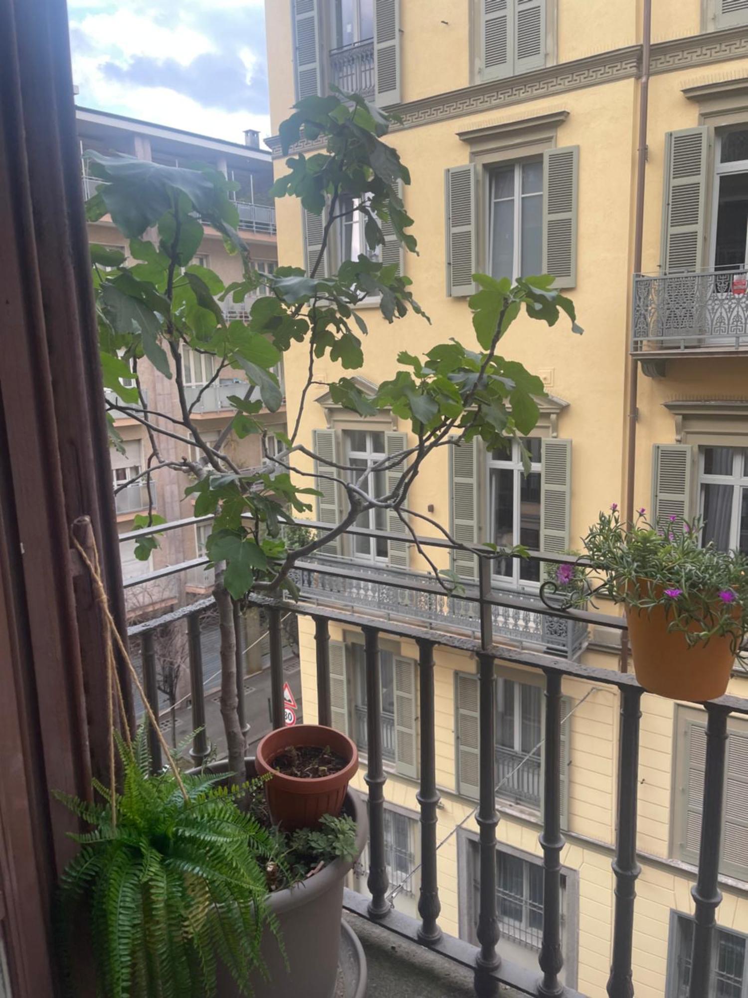 Torino Natura In Centro المظهر الخارجي الصورة